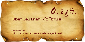 Oberleitner Ábris névjegykártya